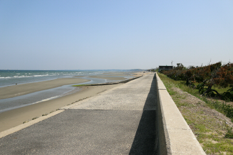IMG_9868.jpg