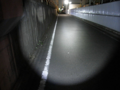 R0014559.jpg